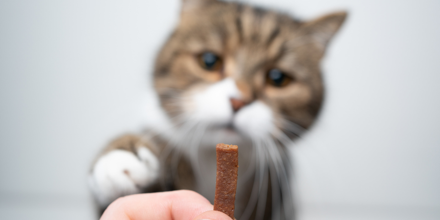 Single-protein cat treats: A guide to reducing allergies, improving digestion, and nutrient absorption