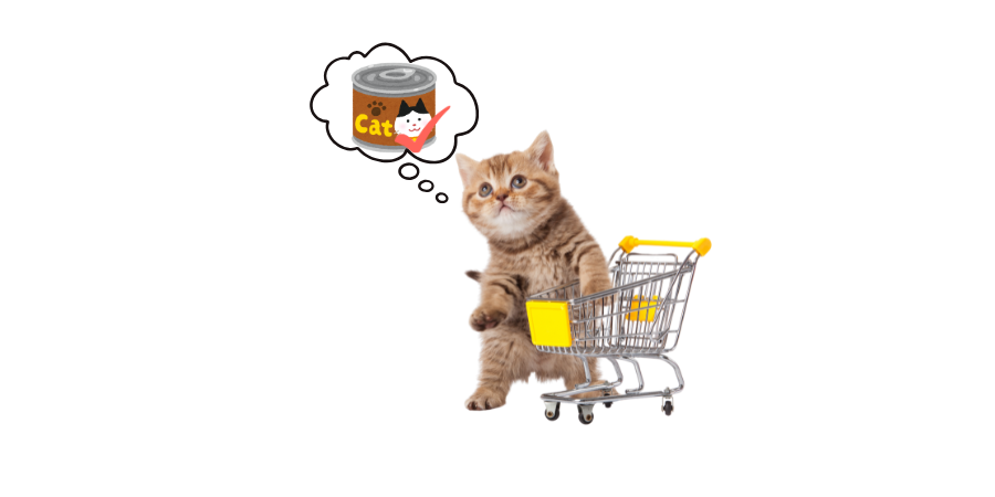 A complete guide to choosing cat food cans