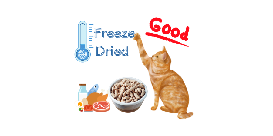 The three killer advantages of freeze-dried raw food will make your pets love every bite!