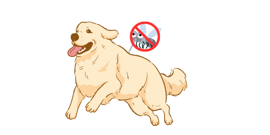 Essential Summer Mosquito Repellent Tips for Dogs | Pet Mosquito Repellent Techniques + Heartworm Prevention