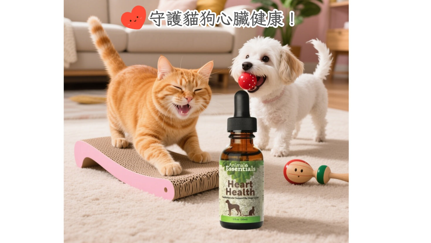 貓狗心臟病症狀全解析|早期警號、檢查與治療指南|ForeverPets
