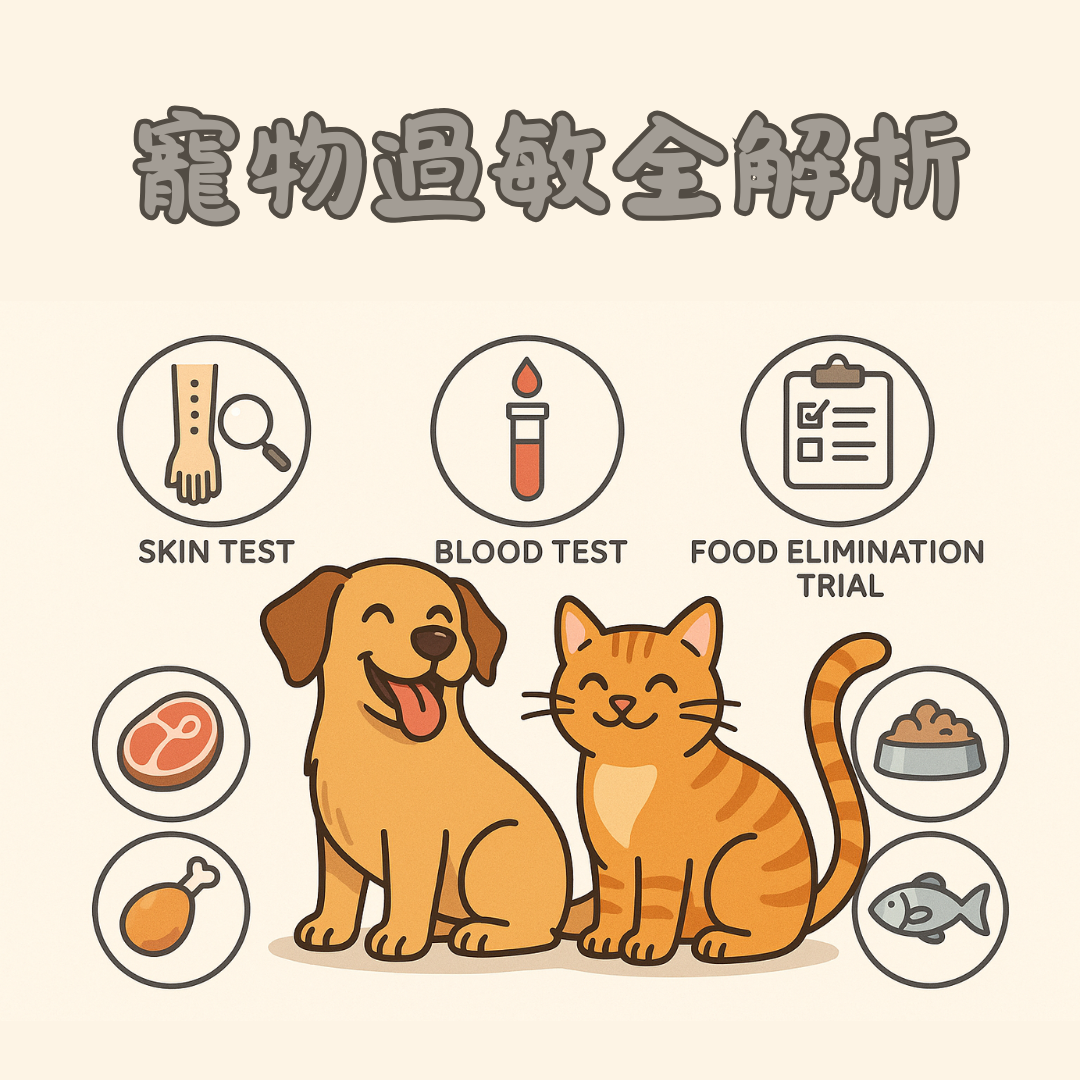 寵物過敏全解析|找出過敏原因,破解毛孩搔癢危機