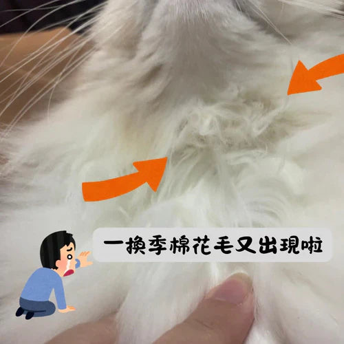 Cats’ Cotton Fur Battle: Hair Care Secrets for Hong Kong Cats!