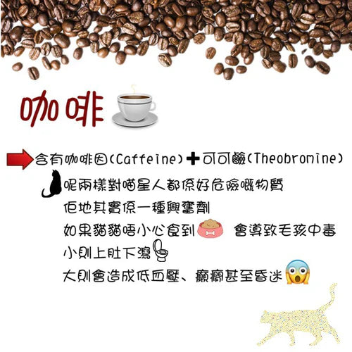 It turns out that coffee is harmful to pets😱😱