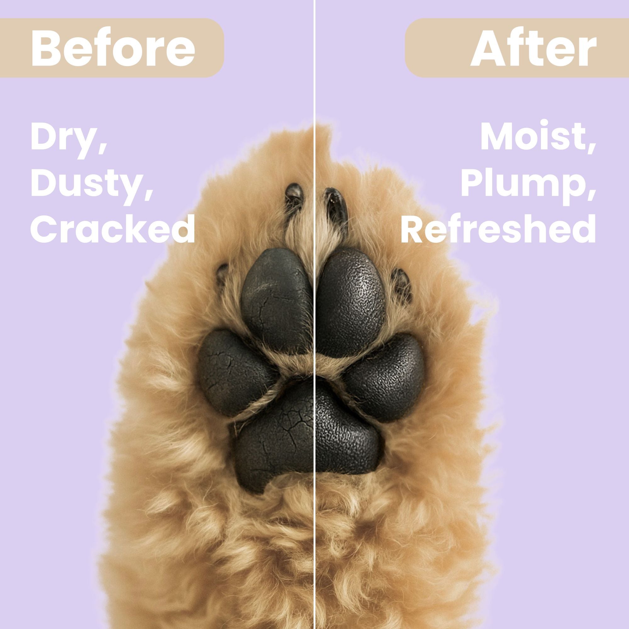 寵物護掌膏怎麼選?蠟膏 vs 乳霜 vs 油類大評比