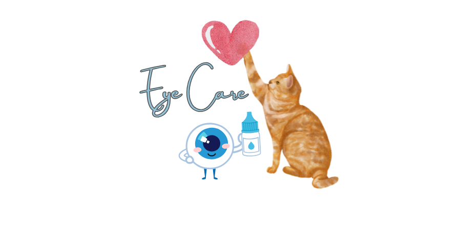 貓眼睛護理
