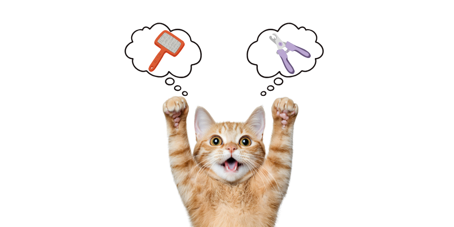 Cat Brushes & Nail Care