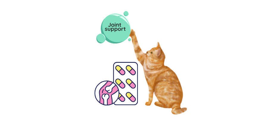 Cat Hip & Joint Support