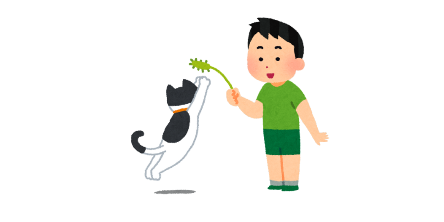 逗貓棒