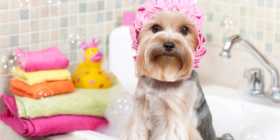 Dog Shampoos & Conditioners