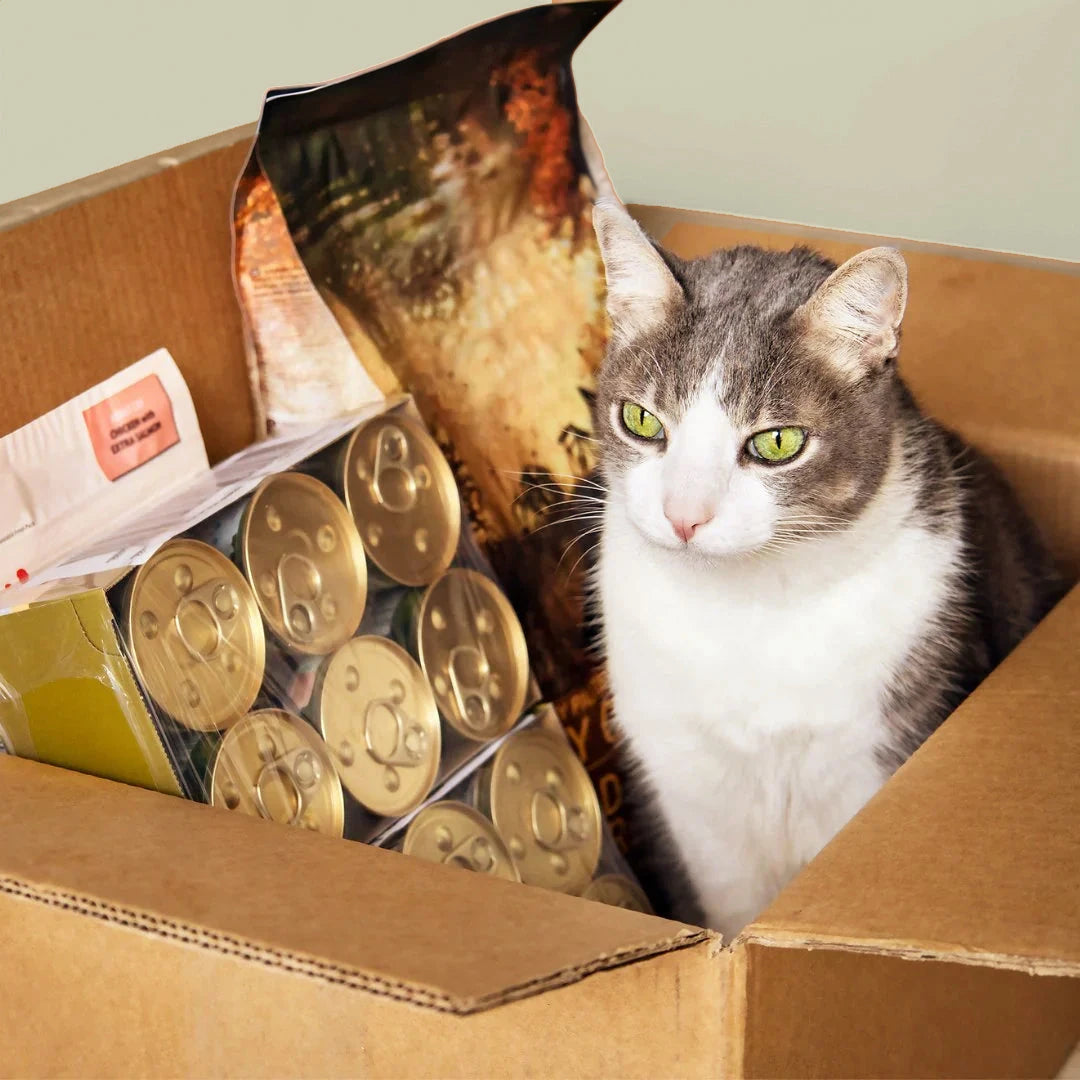 Natural cat canned food