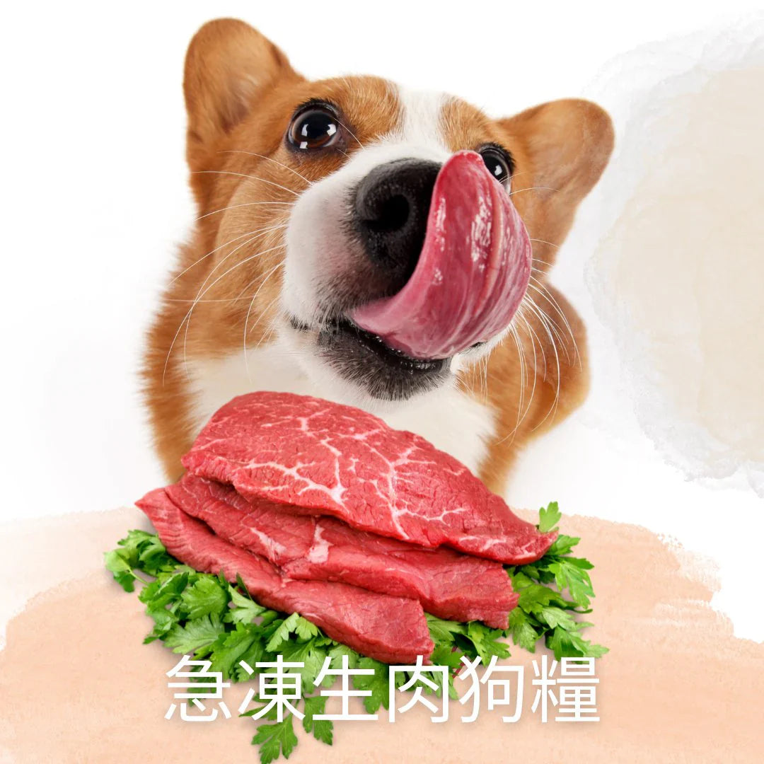 急凍生肉狗糧