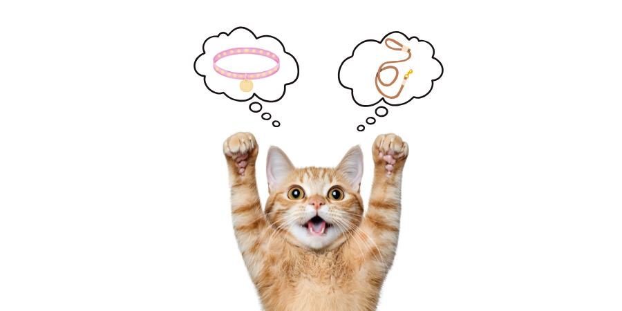 Cat Collars & Leashes