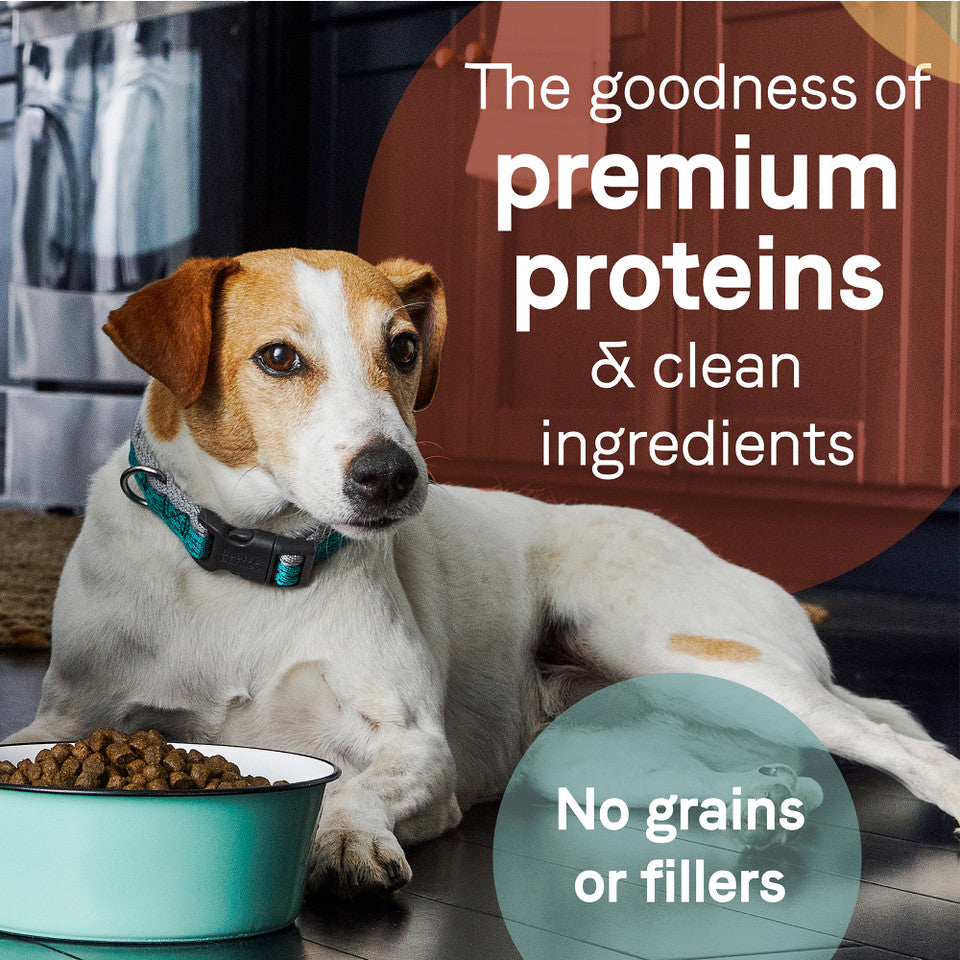 Canidae PURE for Dogs Grain-Free Dog Food