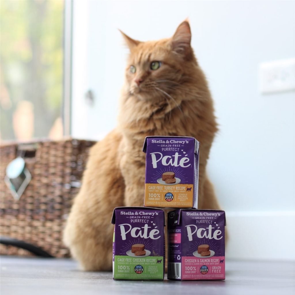 Original Box of 12 Boxes - Stella & Chewy's Bone Broth & Meat Paste Series Fresh Wet Cat Food