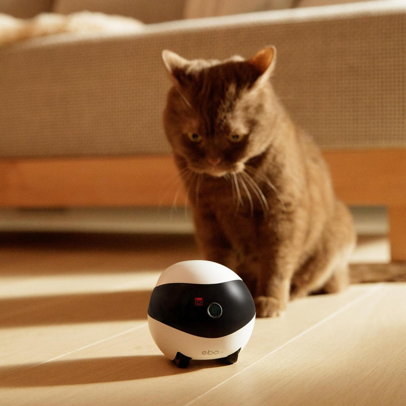 EBO SE Wireless Camera Robot