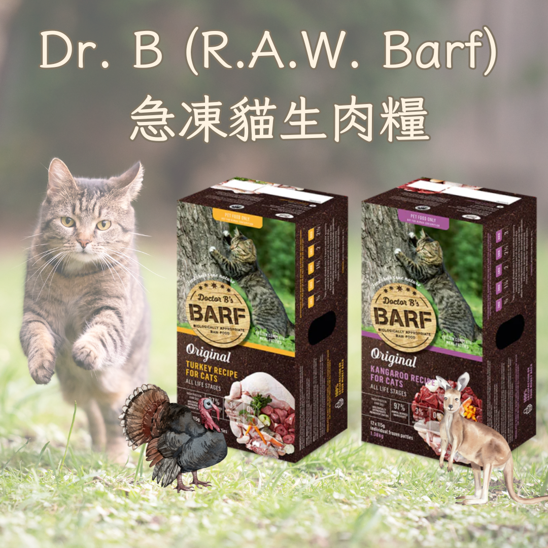 Dr. B (RAW Barf) Frozen Raw Meat Cat Food
