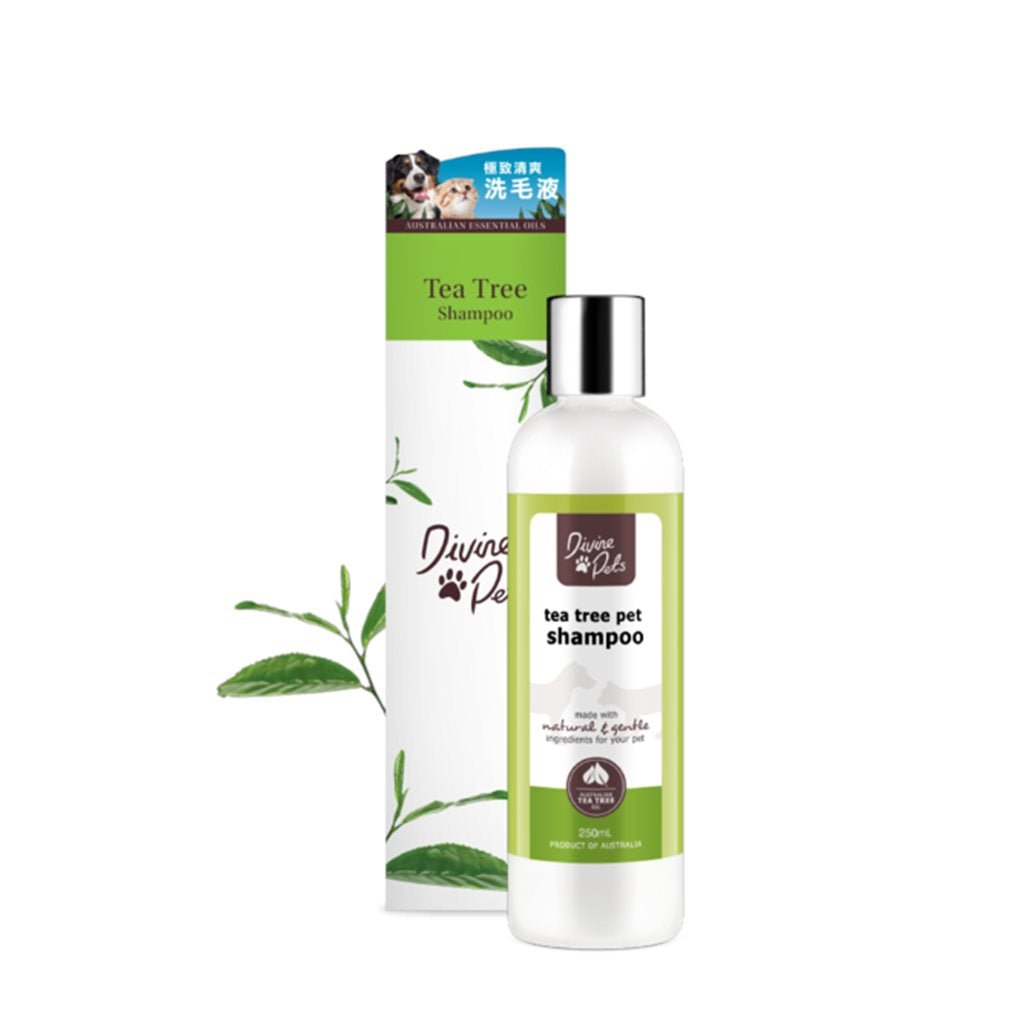 Divine Pets - Tea Tree Shampoo