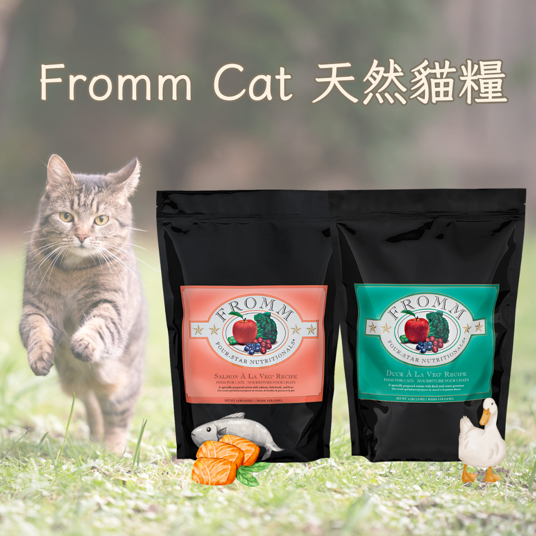 Fromm Cat Natural Cat Food