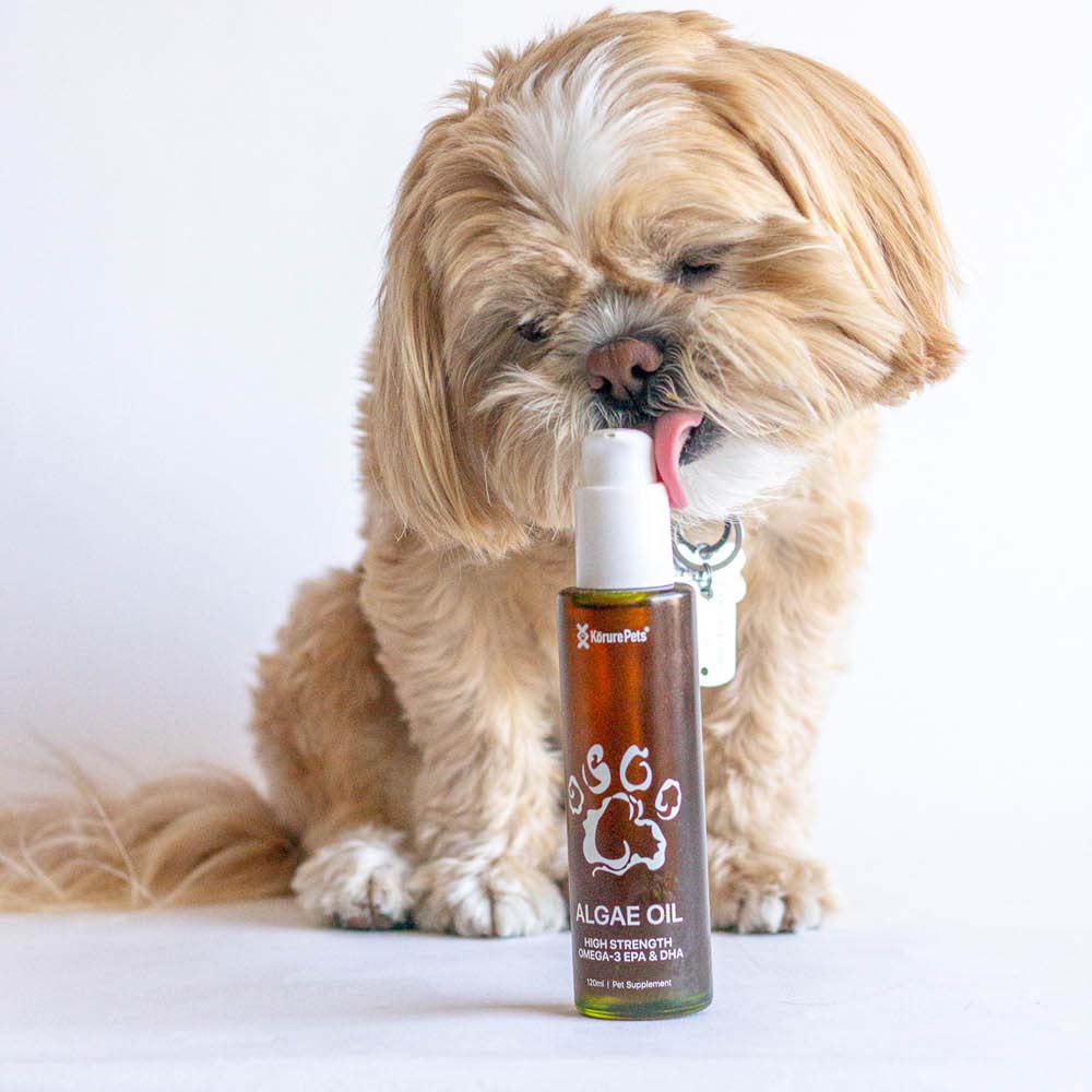 Kōrure Pets - 狗用新西蘭海藻油(Algae Oil) 50ml