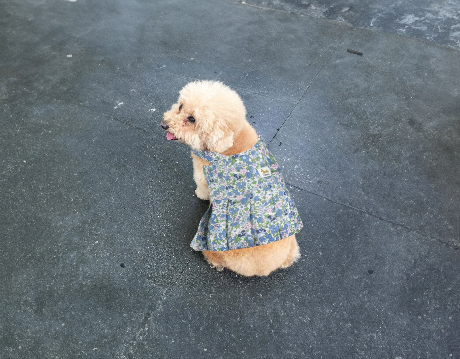 Dog Floral Pleated Dress