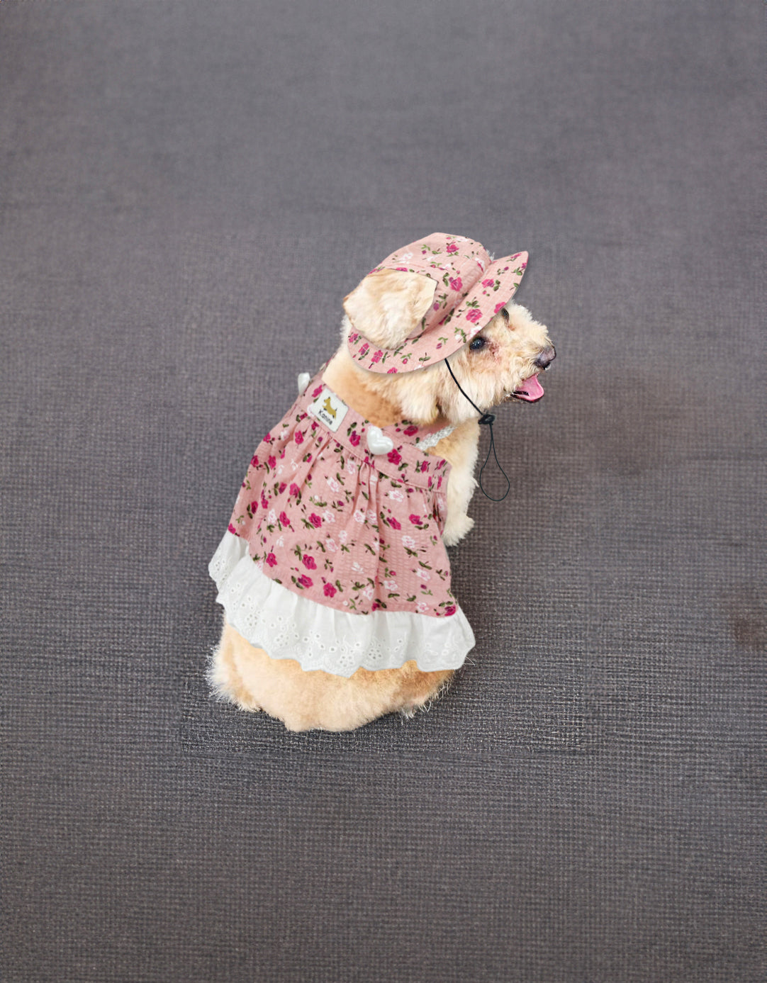 Dog Floral Lace Dress