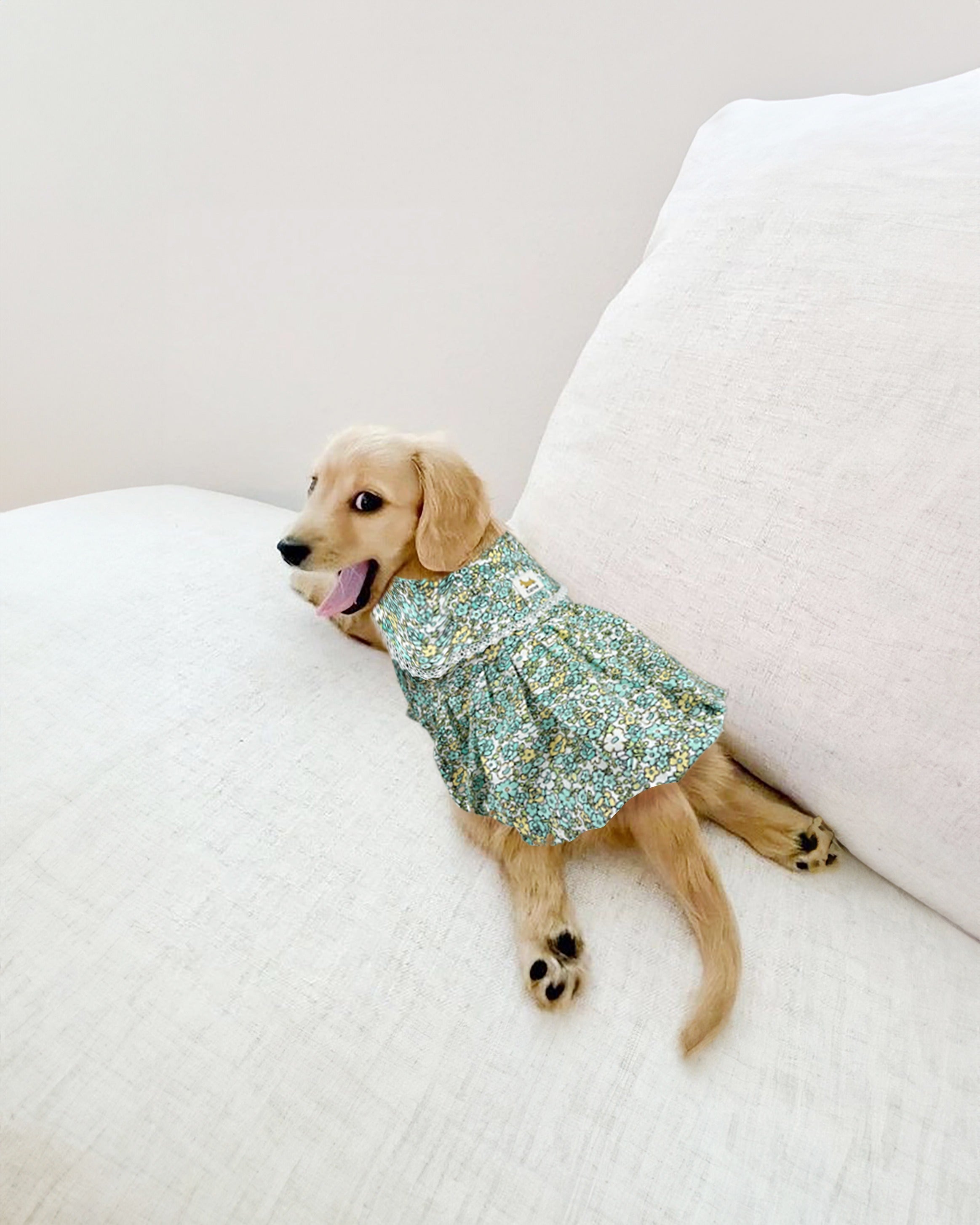 Dog Floral Bubble Dress