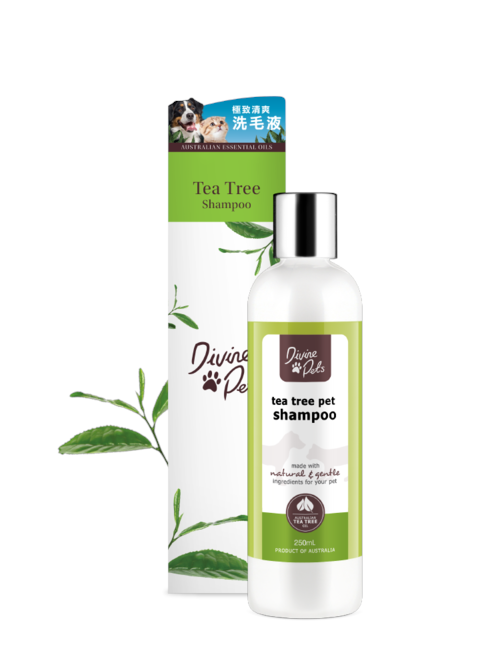 Divine Pets - Tea Tree Shampoo