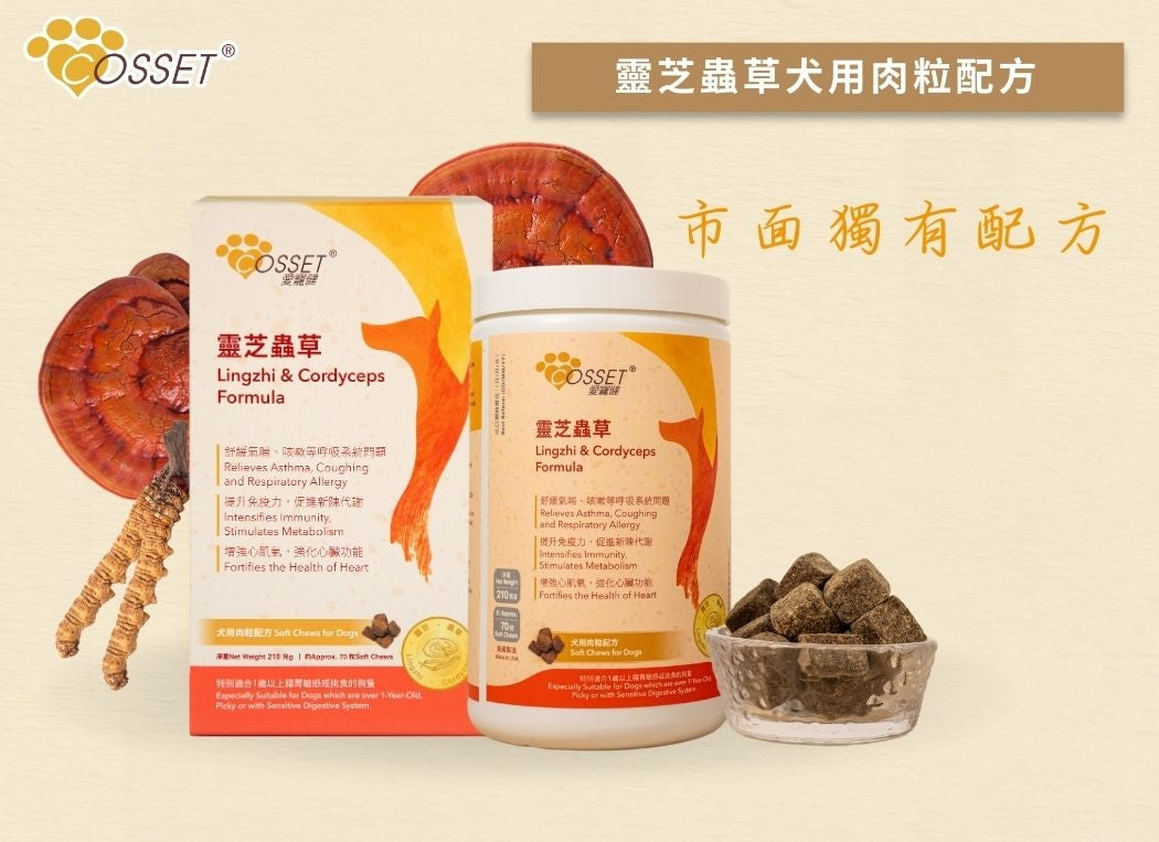 Cosset Pet Health Lingzhi Cordyceps Meat Cubes for Dogs (Flavorful Formula)