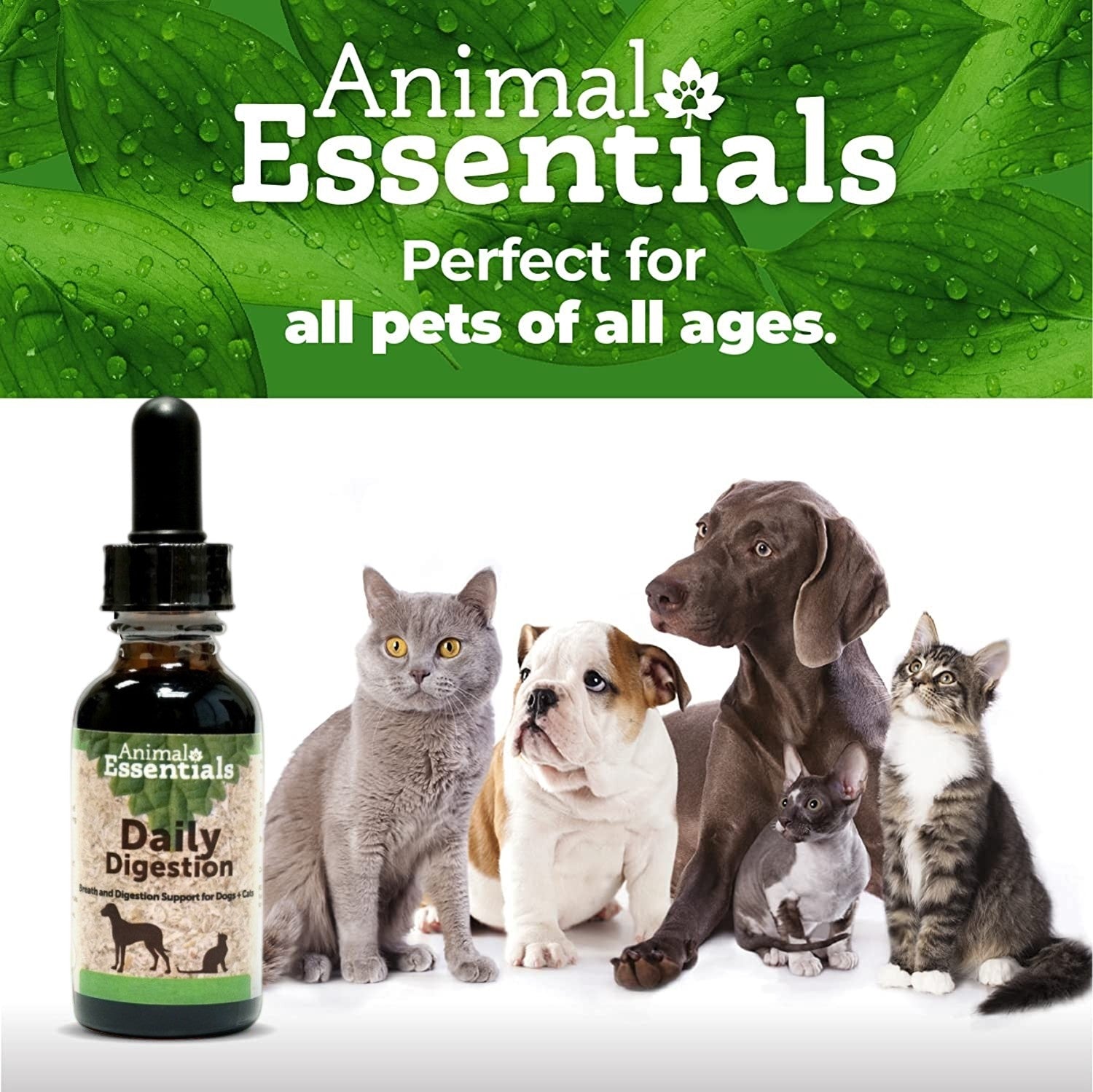 Animal Essentials - Daily Digestion (Ginger Mint) Healing Herbs - Stomach Soothing Formula 2oz