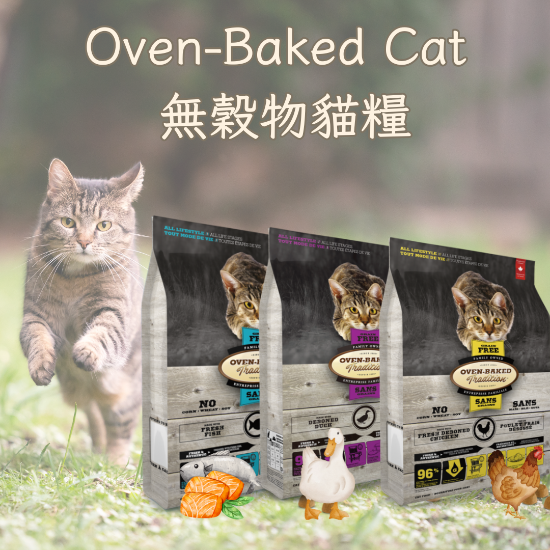 Oven-Baked Cat Grain-Free Cat Food