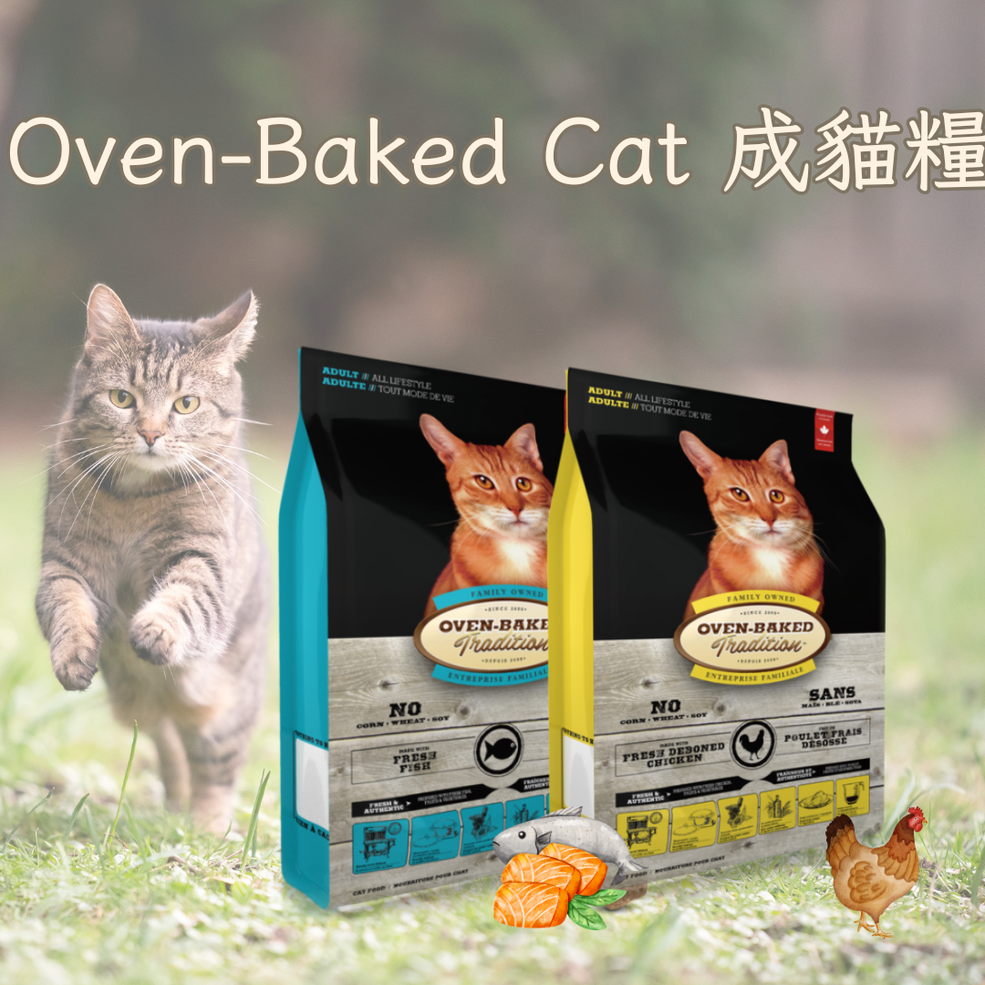 Oven-Baked Cat Food