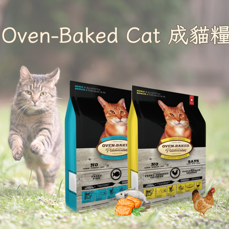 Oven-Baked Cat Food