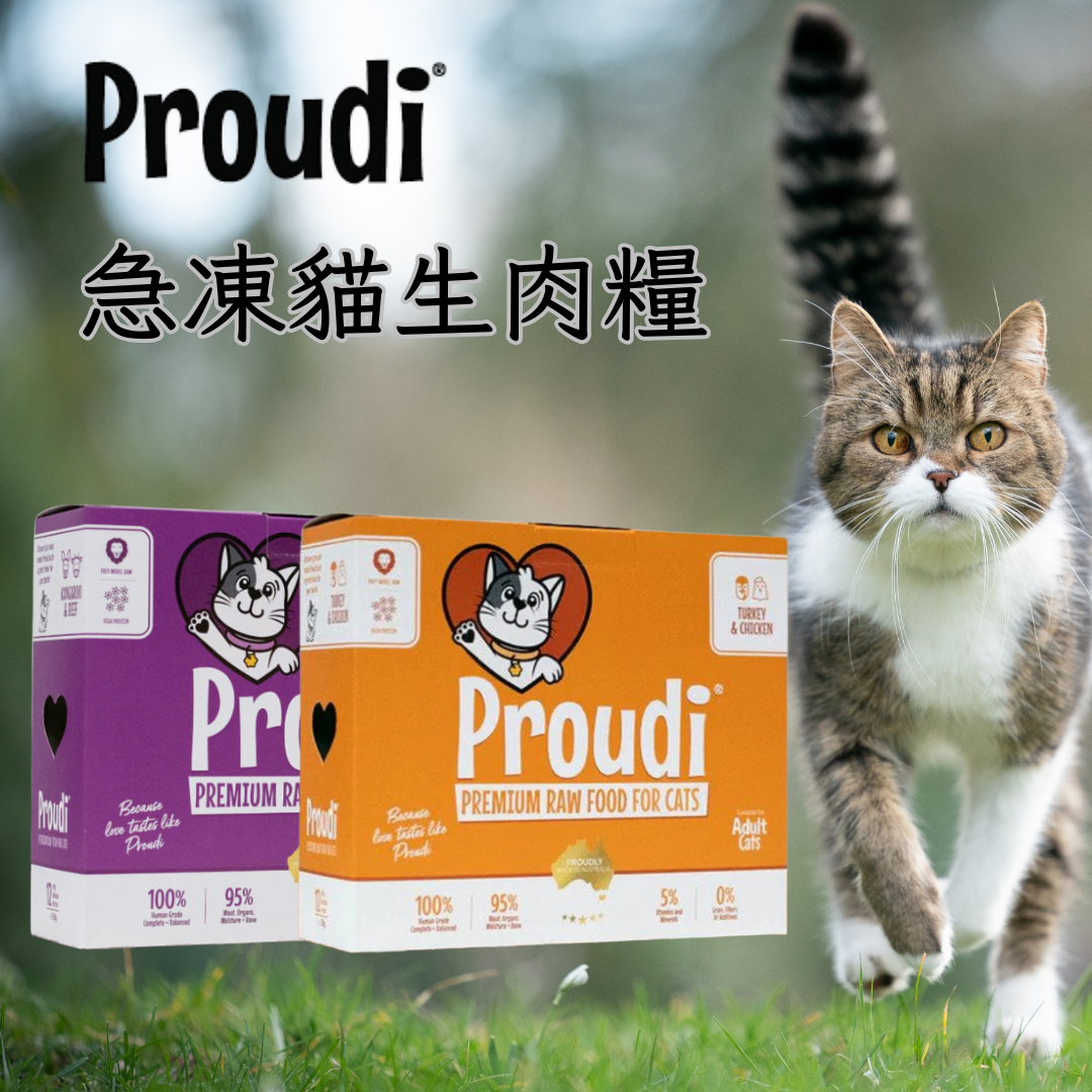 Proudi Frozen Raw Meat Cat Food