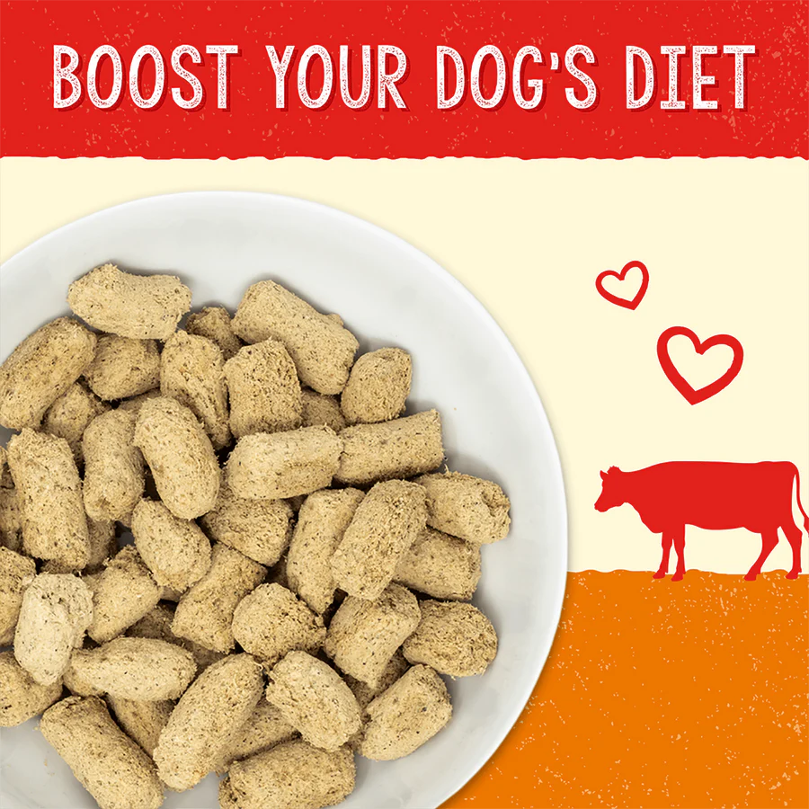 Stella's Solutions - Digestive Aid - Grass-Fed Beef Freeze-Dried Dog Food (Main Food/Dry Food Companion)