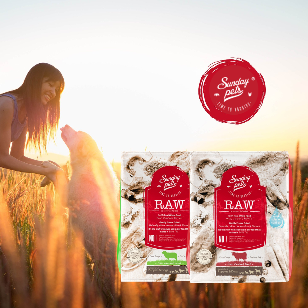 Sunday Pets Freeze-Dried Dog Food - Puppies & Adults 454g