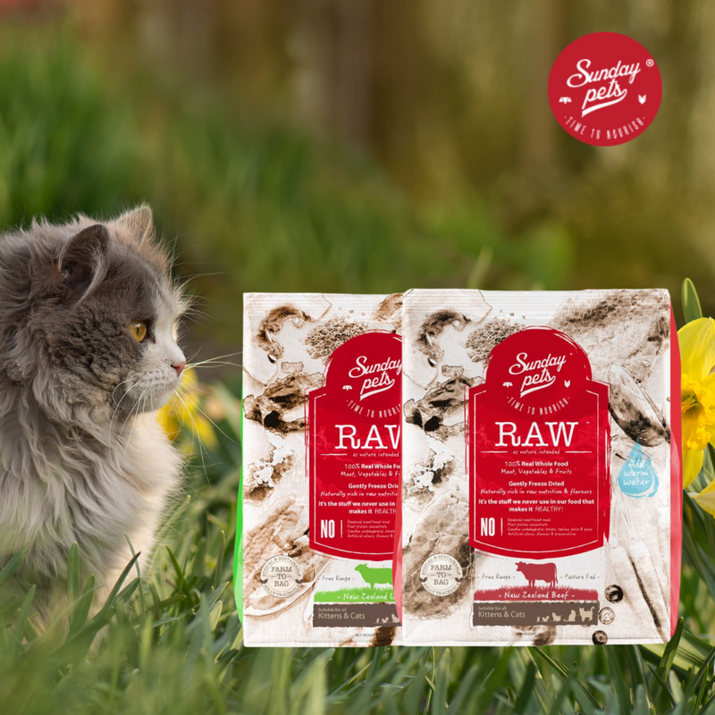 Sunday Pets Freeze-Dried Cat Food - Kittens & Adults 454g
