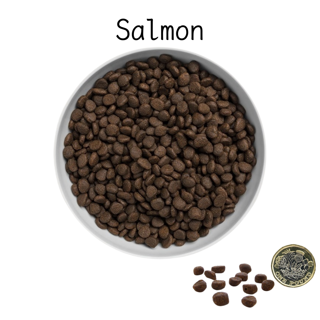 Canagan Grain Free (Complete Cat Food)