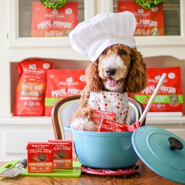 Original Box of 12 - Stella & Chewy's Single Ingredient Stew Series Dog Fresh Wet Food