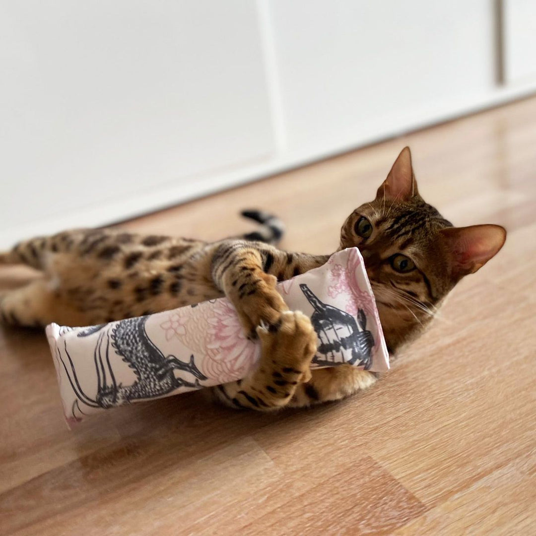 4cats - Cat Wrestler Catnip (Catnip + Polygonum aviculare Sumo Wrestling Pillow)