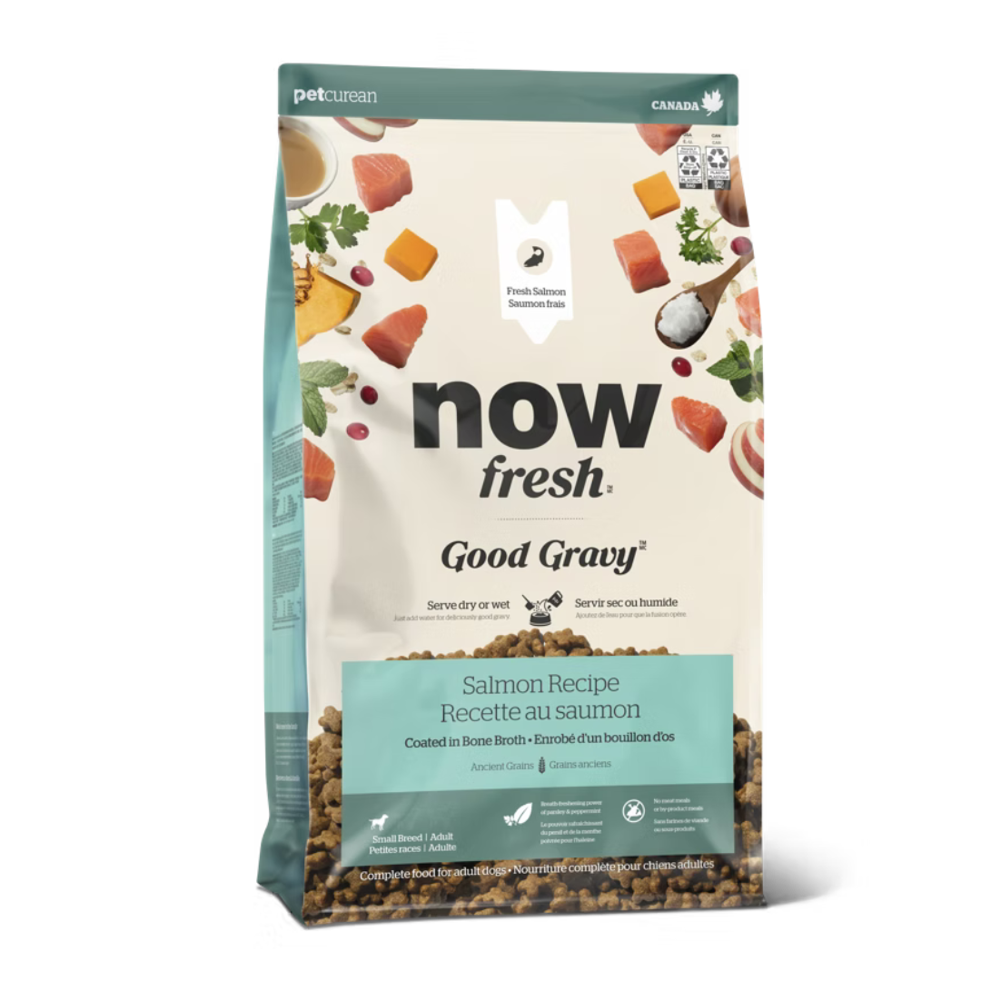 Now Good Gravy Small Dog Food with Rich Turkey Broth