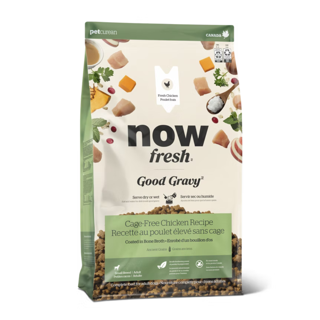 Now Good Gravy Small Dog Food with Rich Turkey Broth