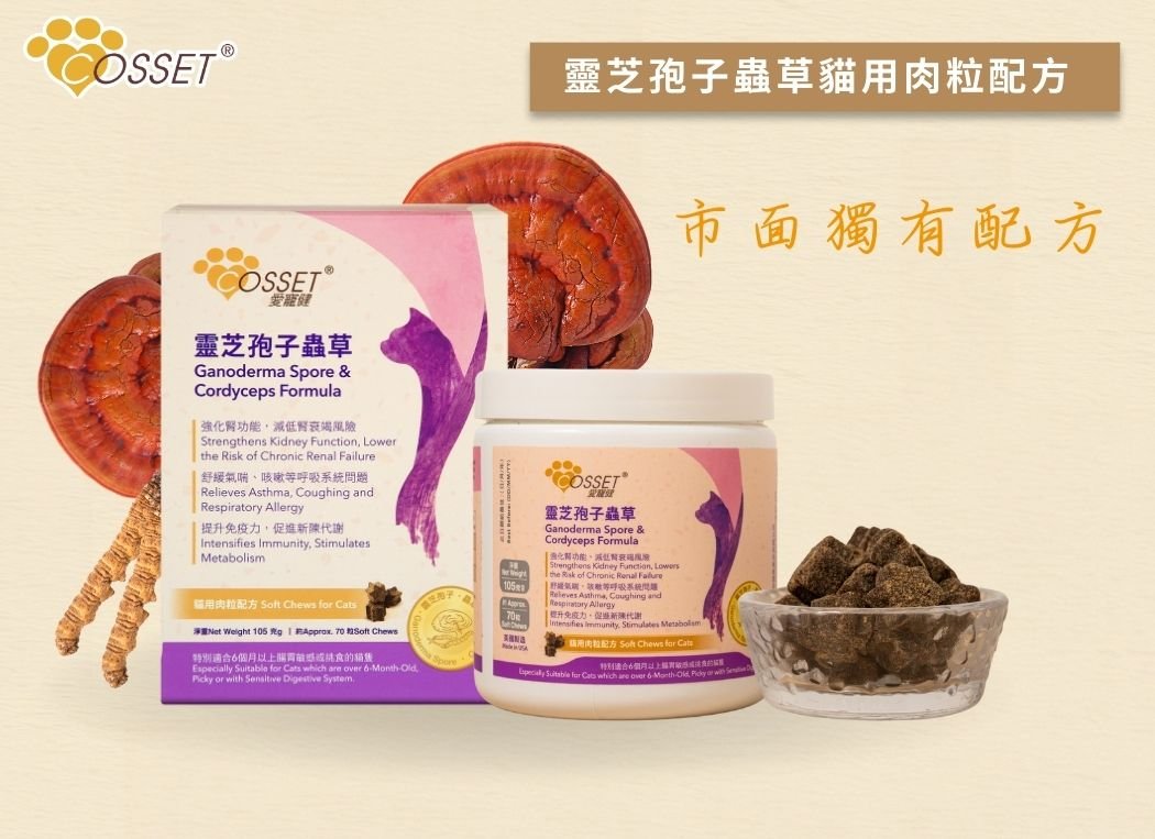 Cosset Pet Health Lingzhi Spores and Cordyceps Meat Grains for Cats (Flavorful Formula)