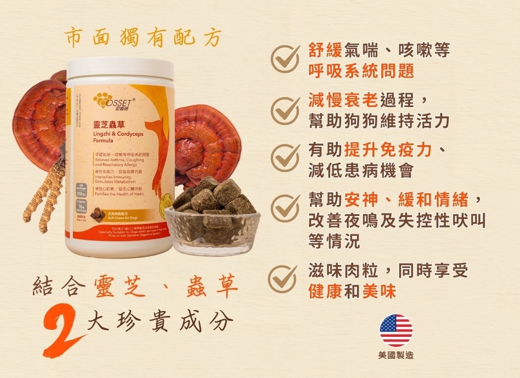 Cosset Pet Health Lingzhi Cordyceps Meat Cubes for Dogs (Flavorful Formula)