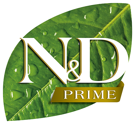 logo-nd-prime_web.png