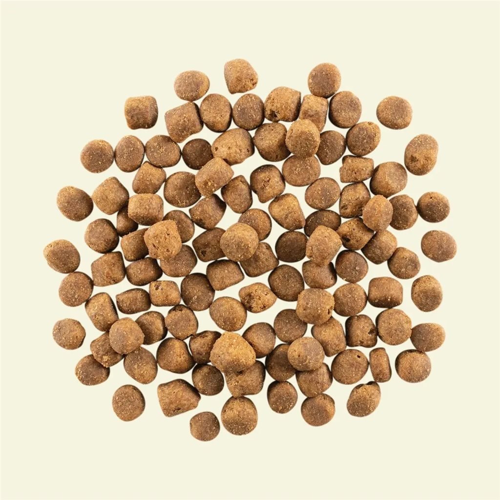 NOW FRESH™ Grain Free Adult Red Meat Dog Food