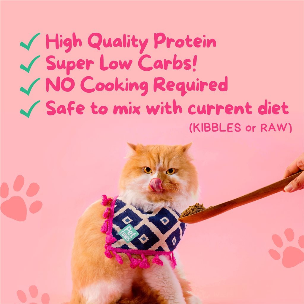 PetCubes - Lightly Cooked Fresh Cat Food (Must Refrigerate)