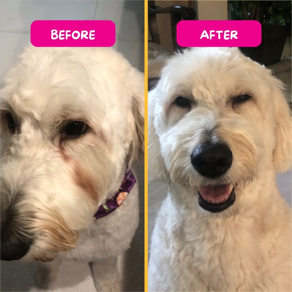 PetEyez - Tear Stain Reduction for Dogs 1 oz