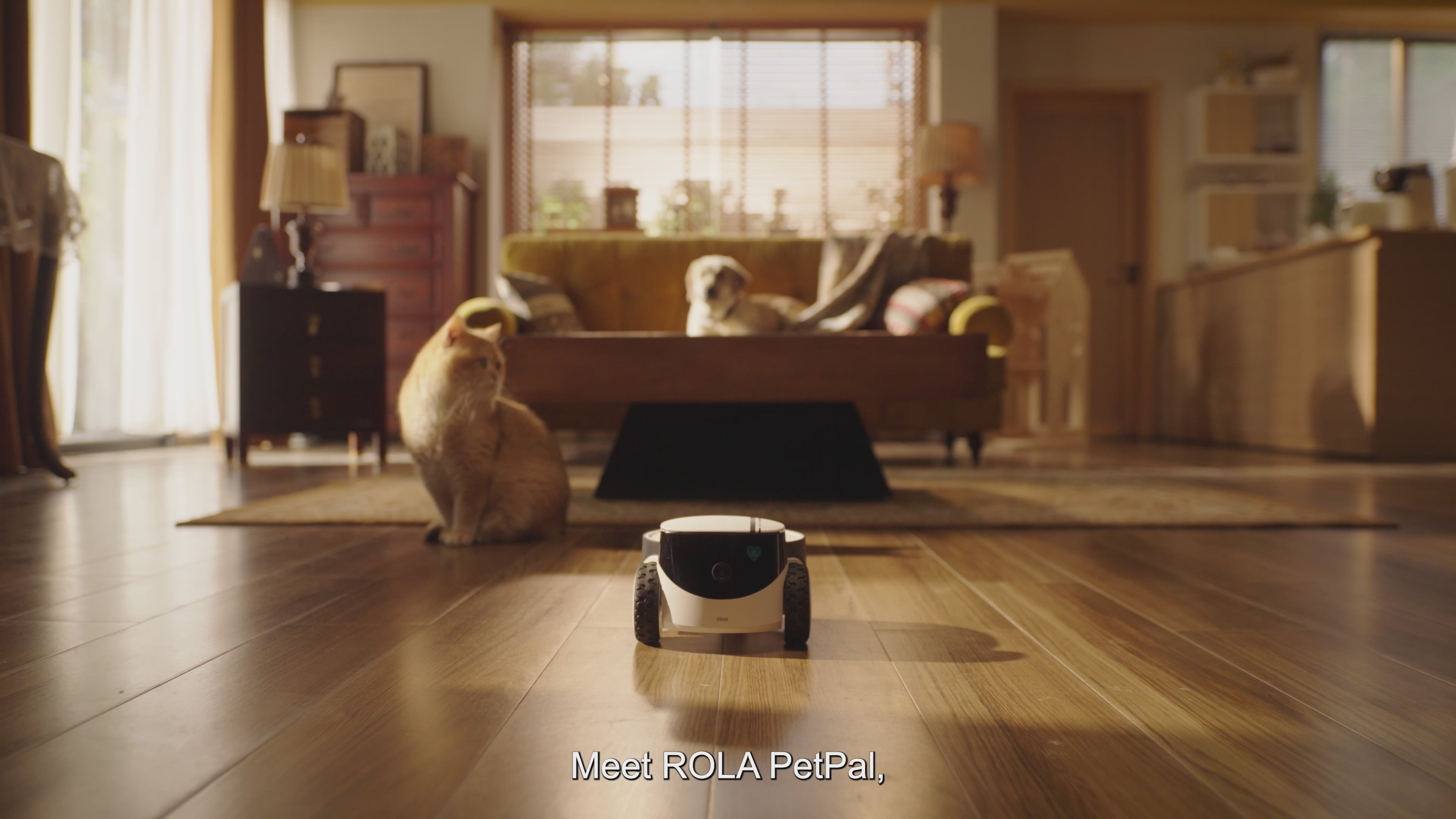 Enabot ROLA PetPal Pet Companion Robot (Snack Dispenser + Play Module)