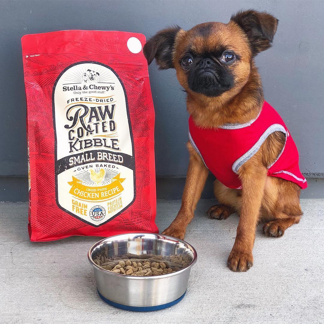 Stella & Chewy's - Freeze-Dried Raw Meat Coated Low-Baked Dog Food - Small Breed